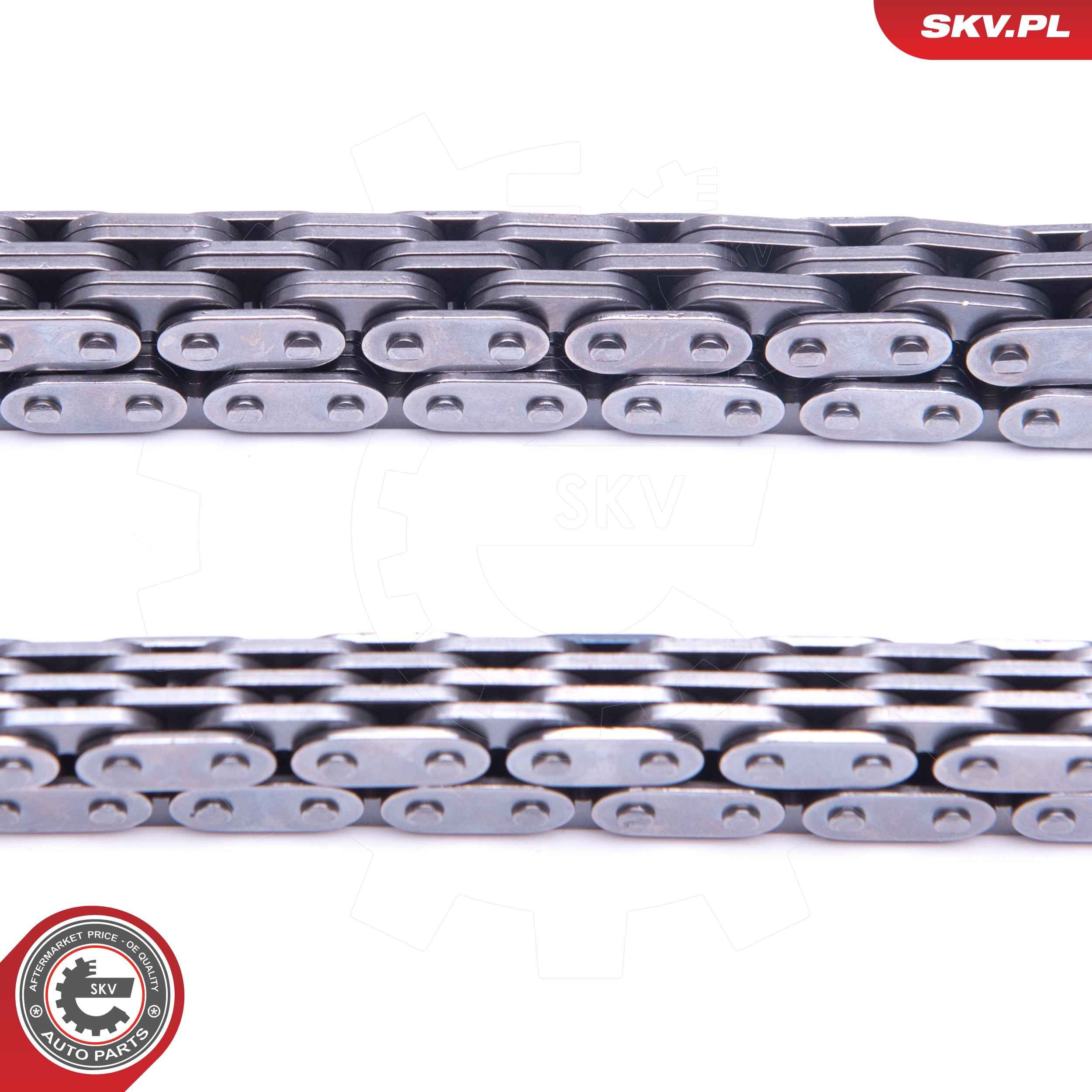 ESEN SKV 21SKV231 - Steuerkettensatz