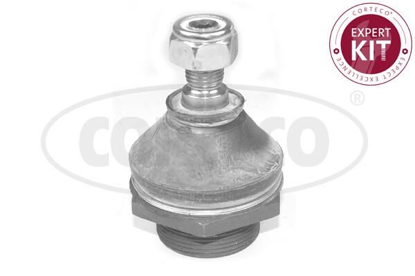 Trag-/Führungsgelenk