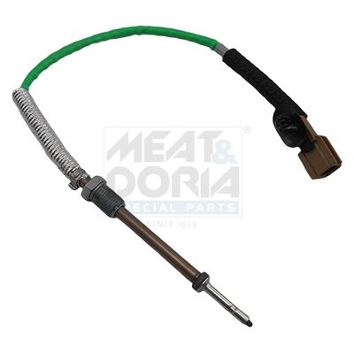 Sensor, Abgastemperatur