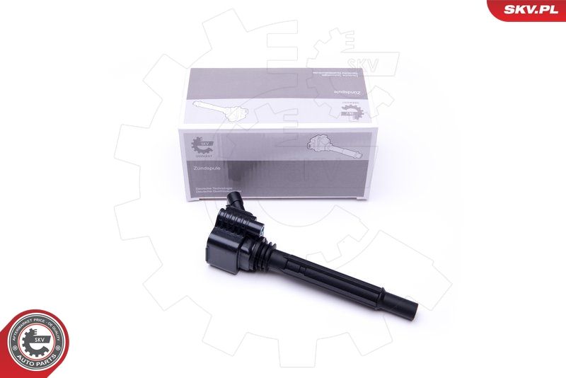 Ignition Coil 03SKV281