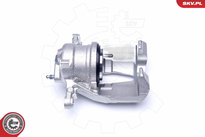 Brake Caliper 42SKV231