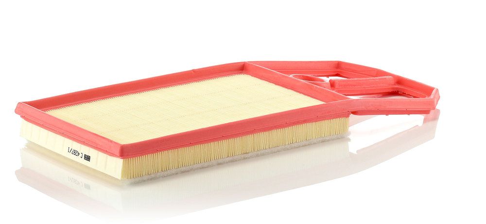 MANN-FILTER C 4287/1 - Luftfilter