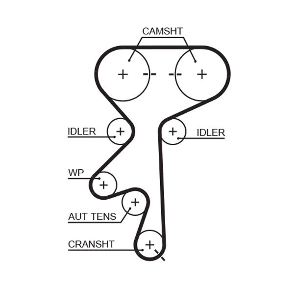 Timing Belt 5369XS