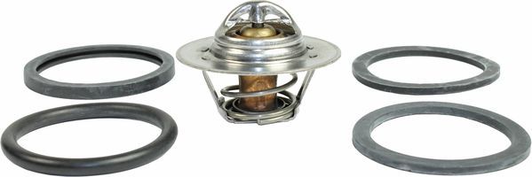 Thermostat, Kühlmittel