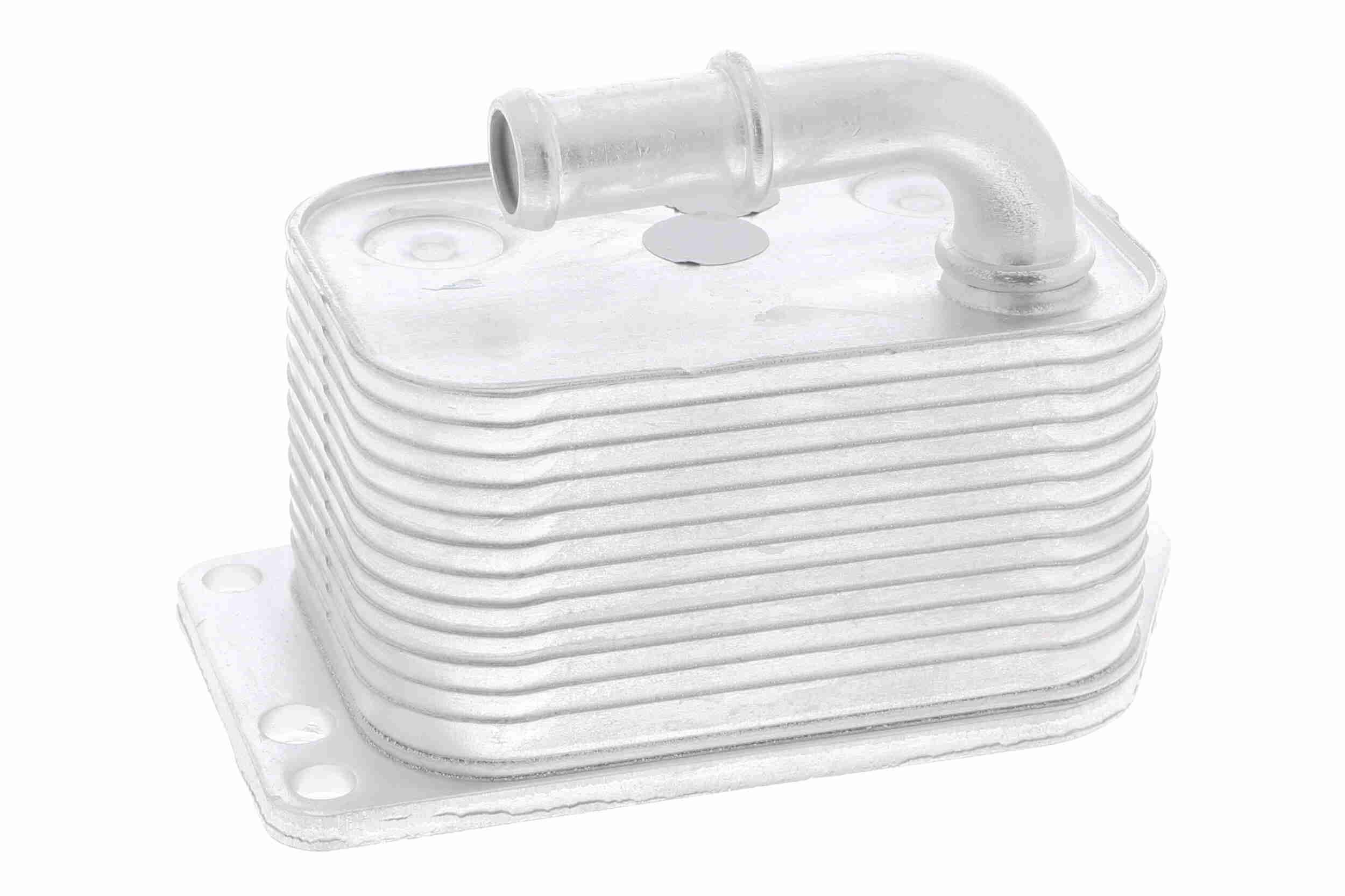 &Ouml;lk&uuml;hler, Motor&ouml;l