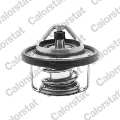 Thermostat, coolant TH6737.82J