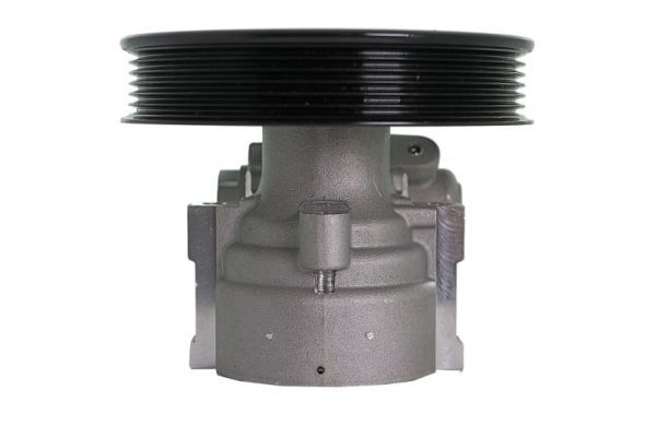 Hydraulikpumpe, Lenkung