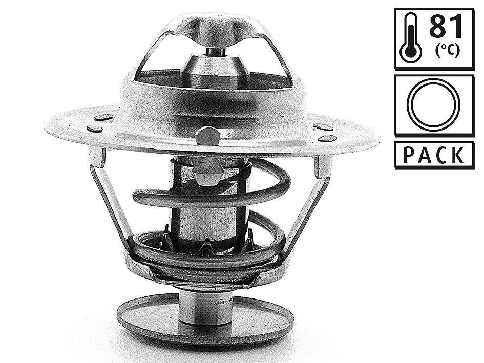 Thermostat, Kühlmittel