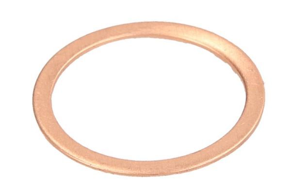 ENGITECH ENT250242/1 - Dichtung, D&uuml;senhalter