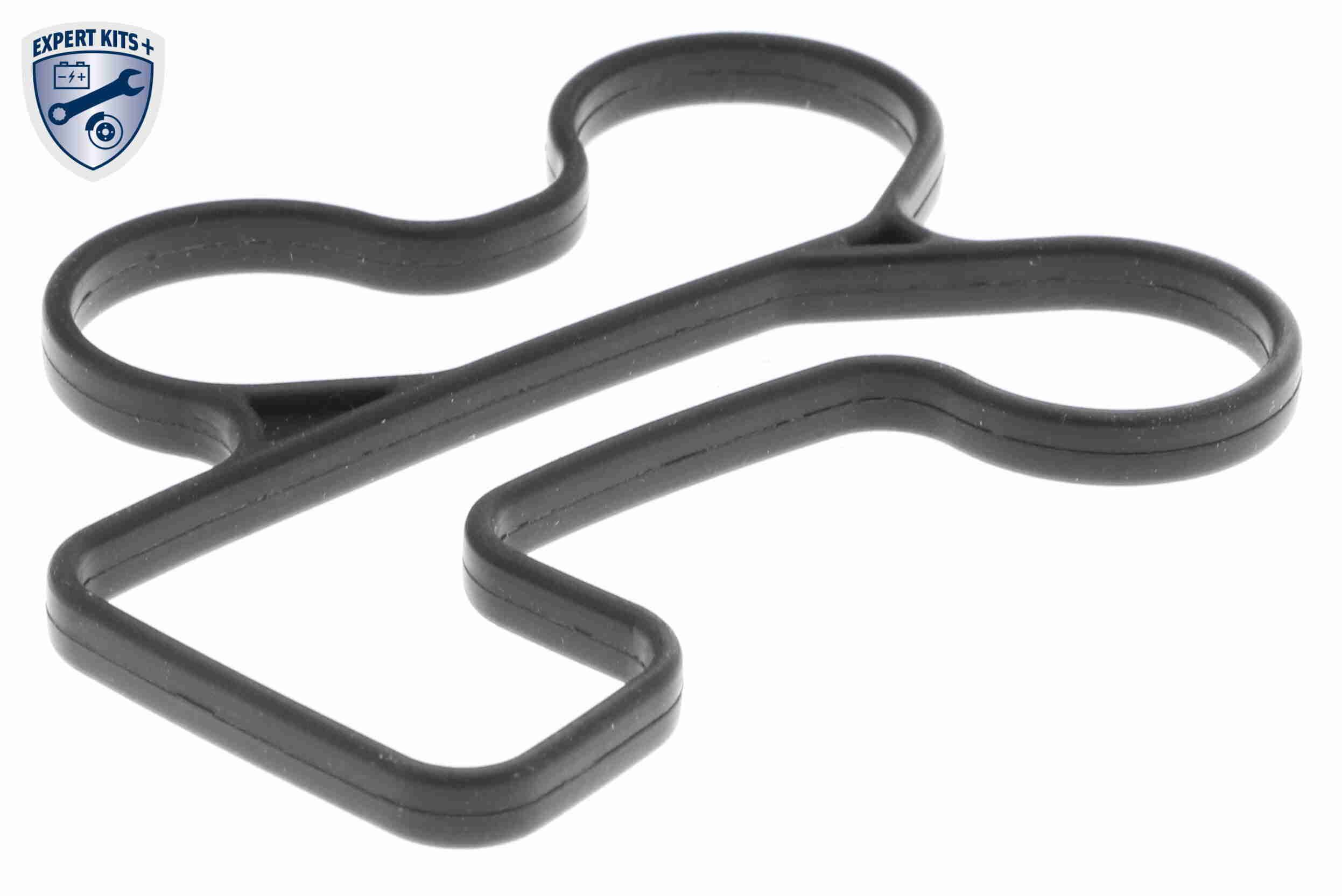 &Ouml;lk&uuml;hler, Motor&ouml;l