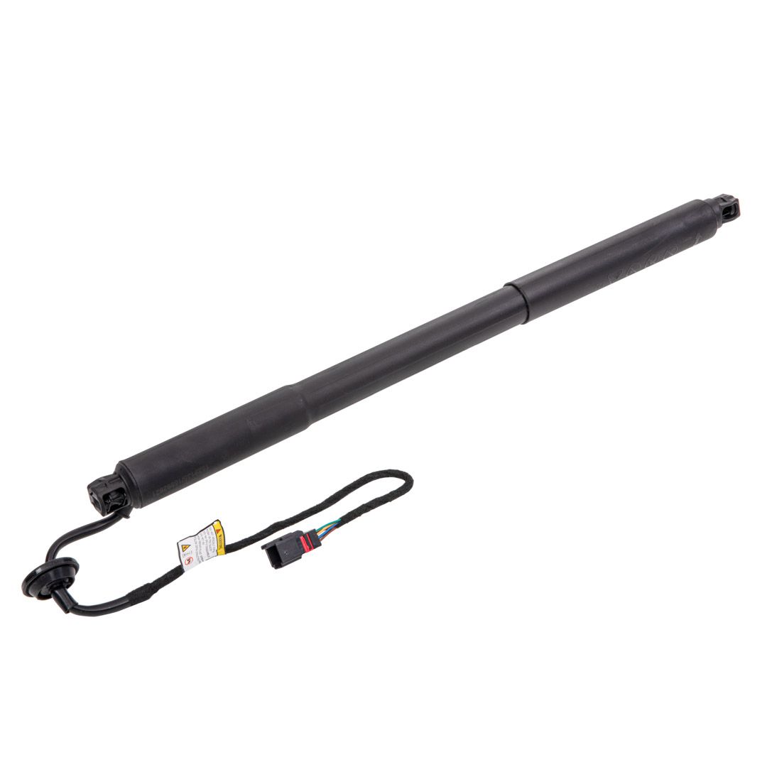 RIDEX 219G1035 Electric Motor, tailgate