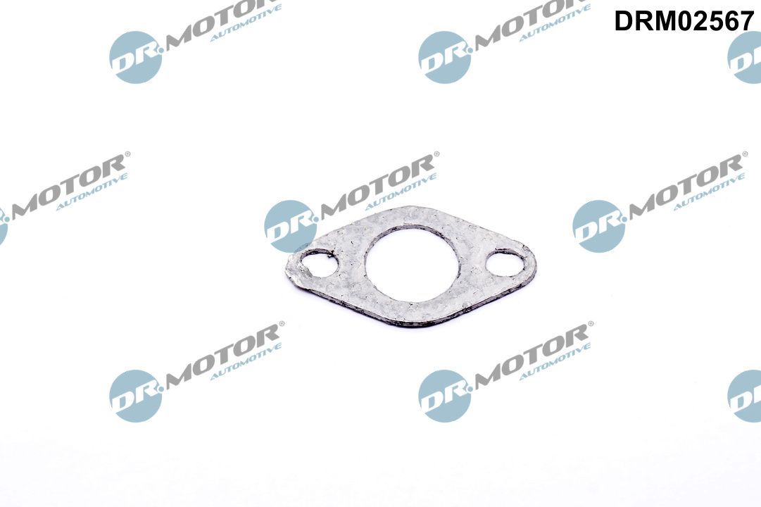 Dr.Motor Automotive DRM02567 Gasket, secondary air valve