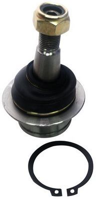 Ball Joint D120186