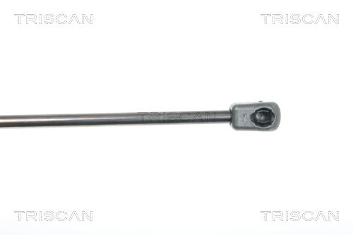 Triscan 8710 23109 Gasfeder, Motorhaube