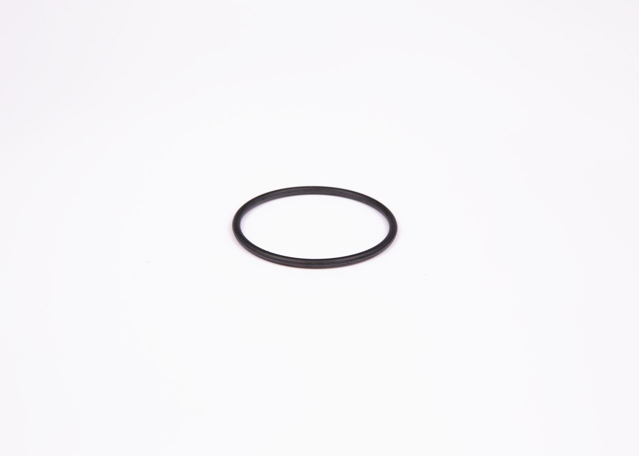 Seal Ring 1 900 210 145