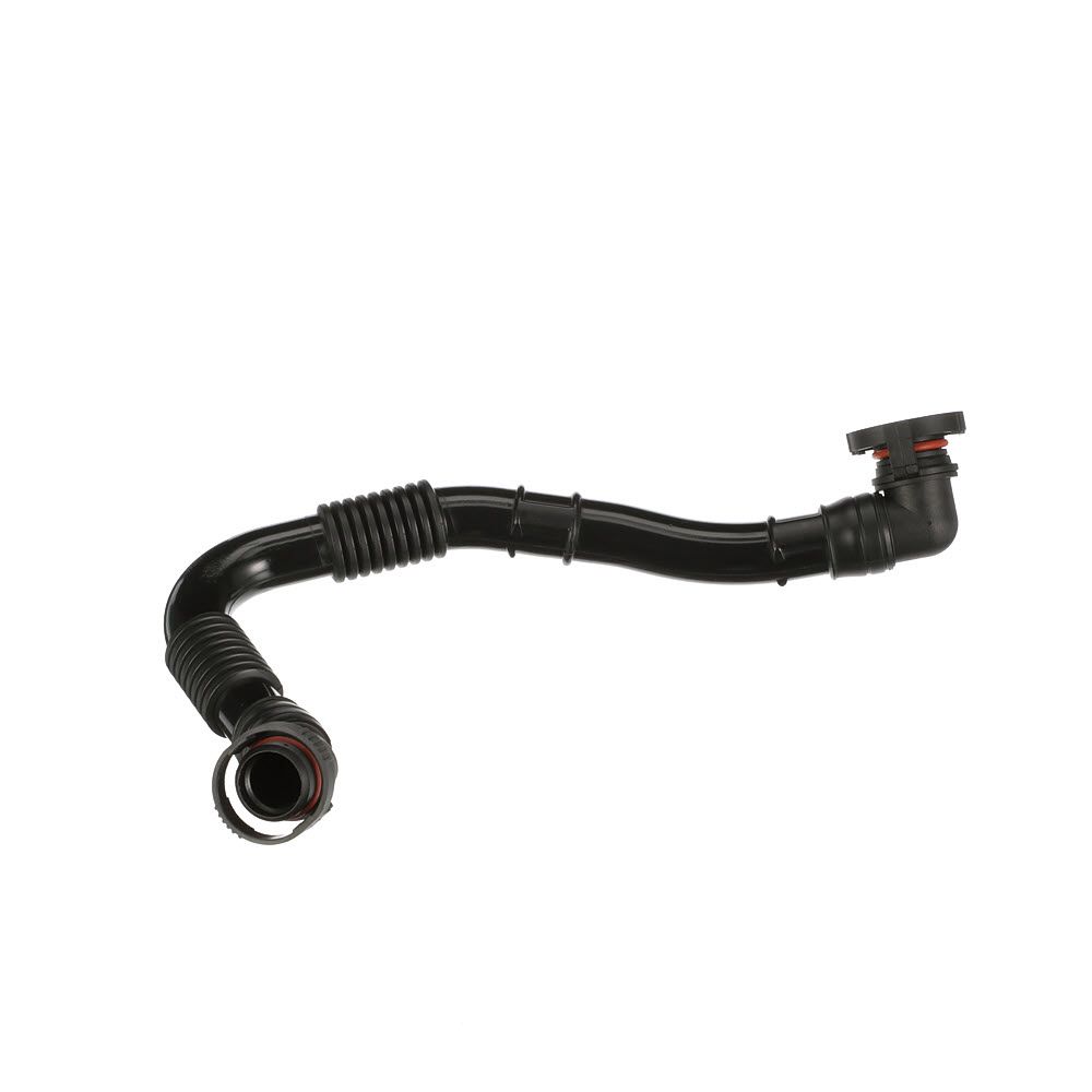 žarna, karterio alsuoklis