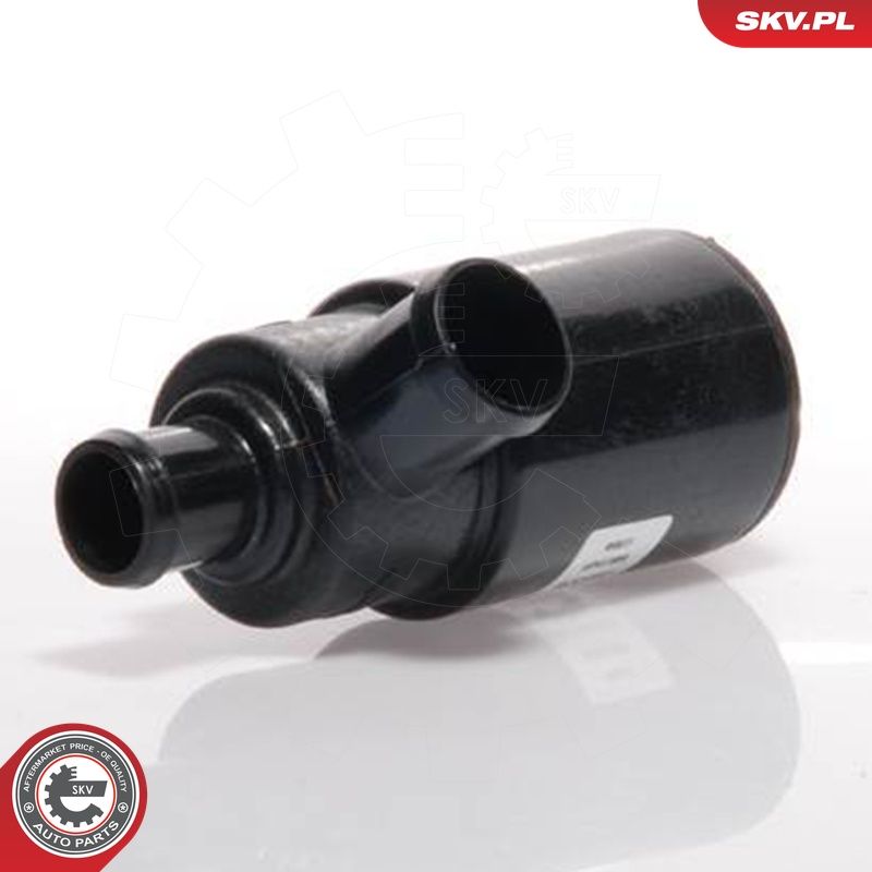 ESEN SKV 08SKV213 - Leerlaufregelventil, Luftversorgung