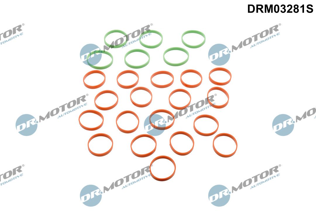 Dr.Motor Automotive DRM03281S Dichtungssatz, Ansaugkrümmer