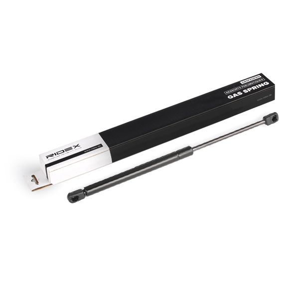 8335999_720.JPG