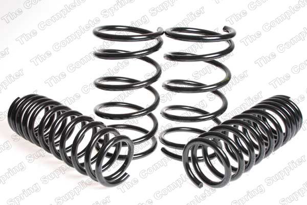 Fahrwerkssatz, Federn