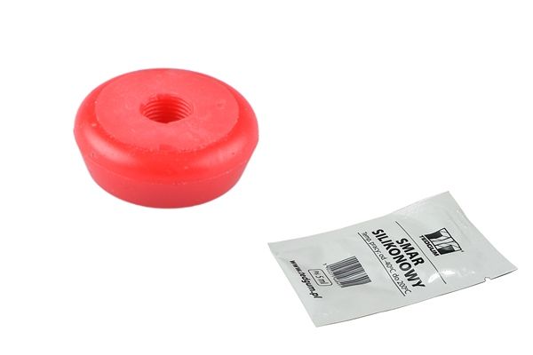 Federbeinst&uuml;tzlager