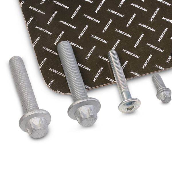 RIDEX 3264B0054 Bolt and Nut Kit