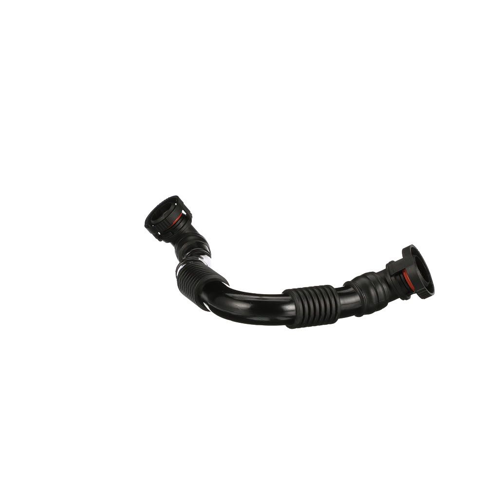 žarna, karterio alsuoklis