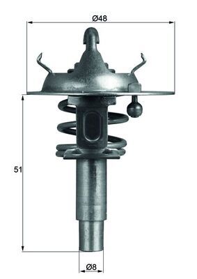 Thermostat, Kühlmittel