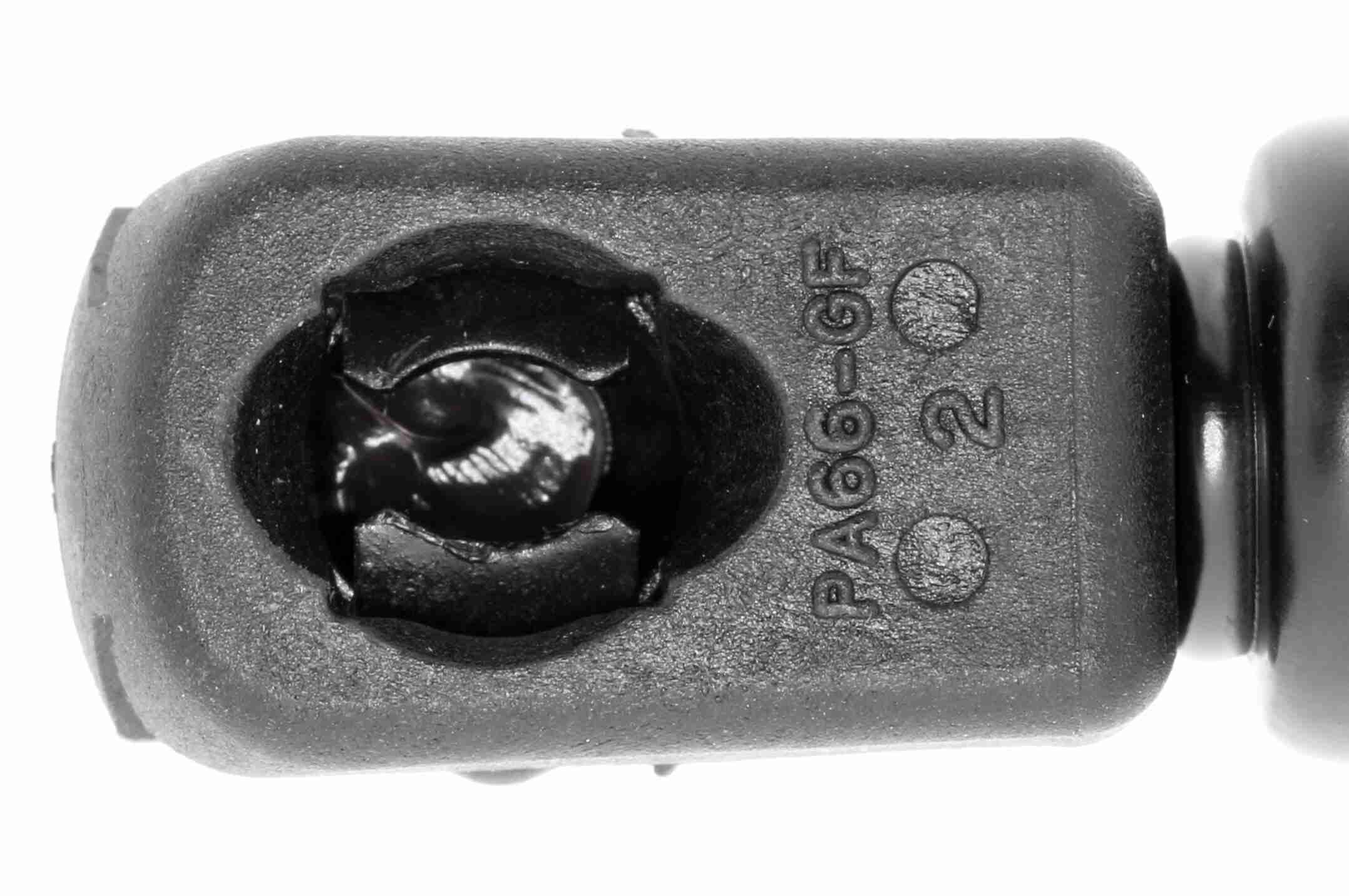 Gasfeder, Koffer-/Laderaum Gasfeder, Koffer-/Laderaum