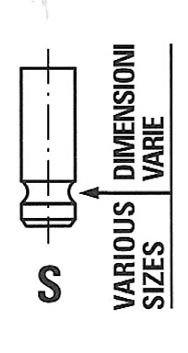 Exhaust Valve R6249/RNT