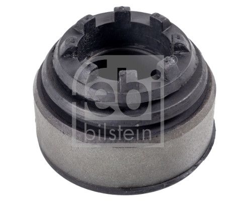 Federbeinstützlager