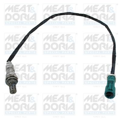 Lambda Sensor 81029E