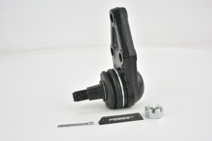 Šarnyras / girgždukas