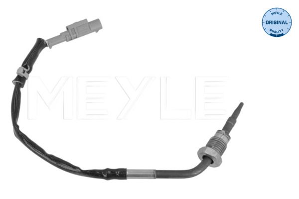 Sensor, Abgastemperatur