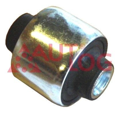 Lagerung, Achsstrebe