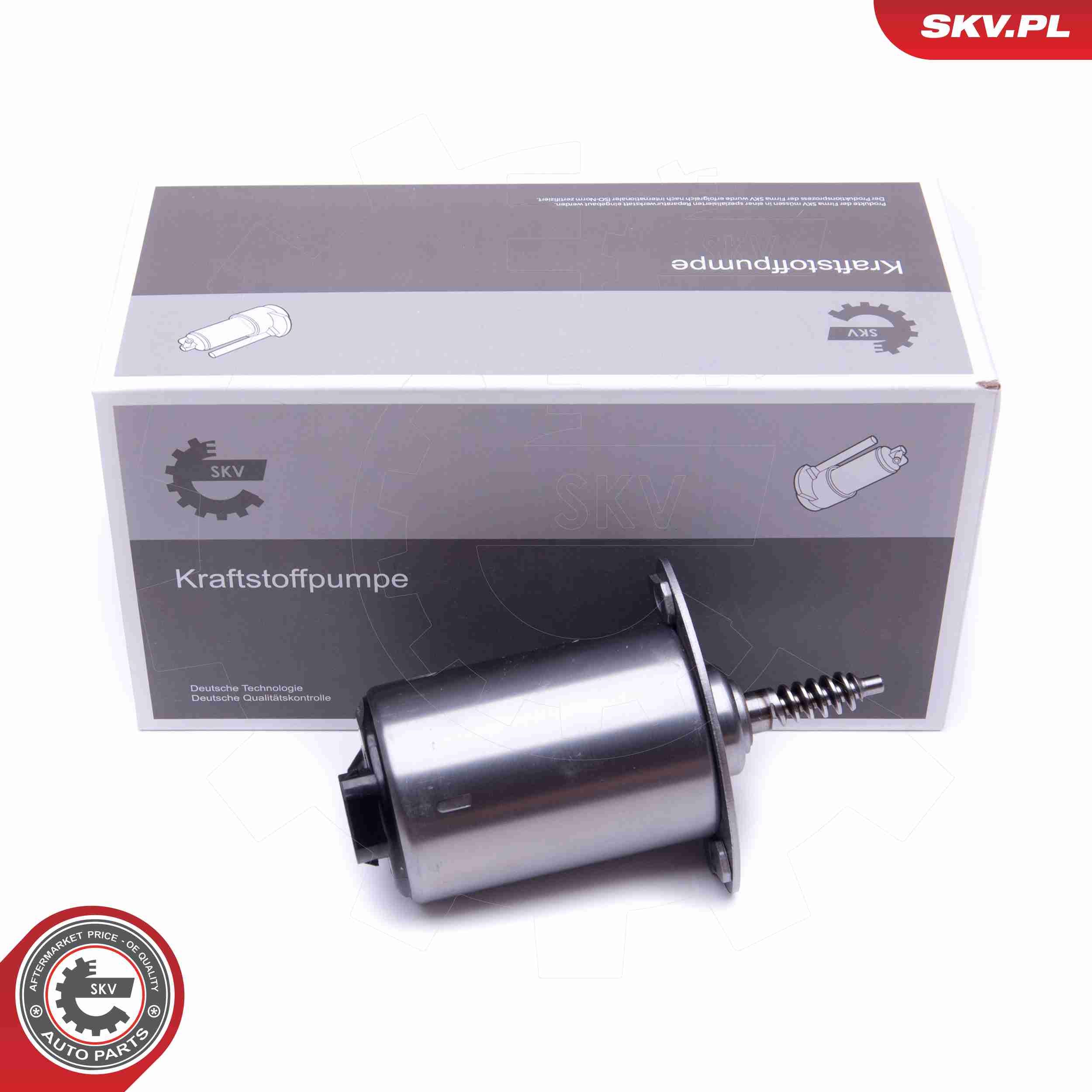 Stellelement, Exzenterwelle (variabler Ventilhub)