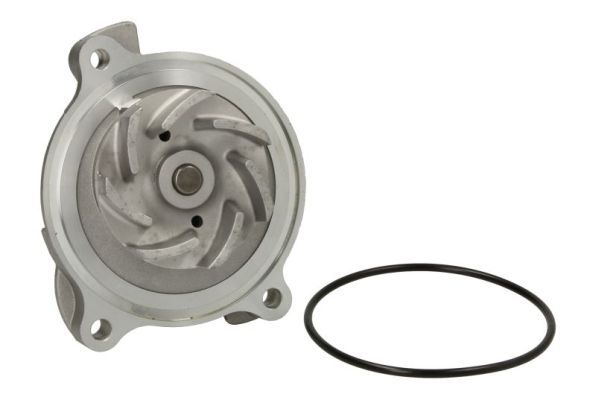 Water Pump, engine cooling D1W018TT