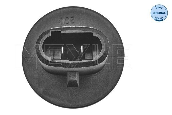 Sensor, Ansauglufttemperatur