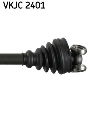 VKJC 2401_3.JPG