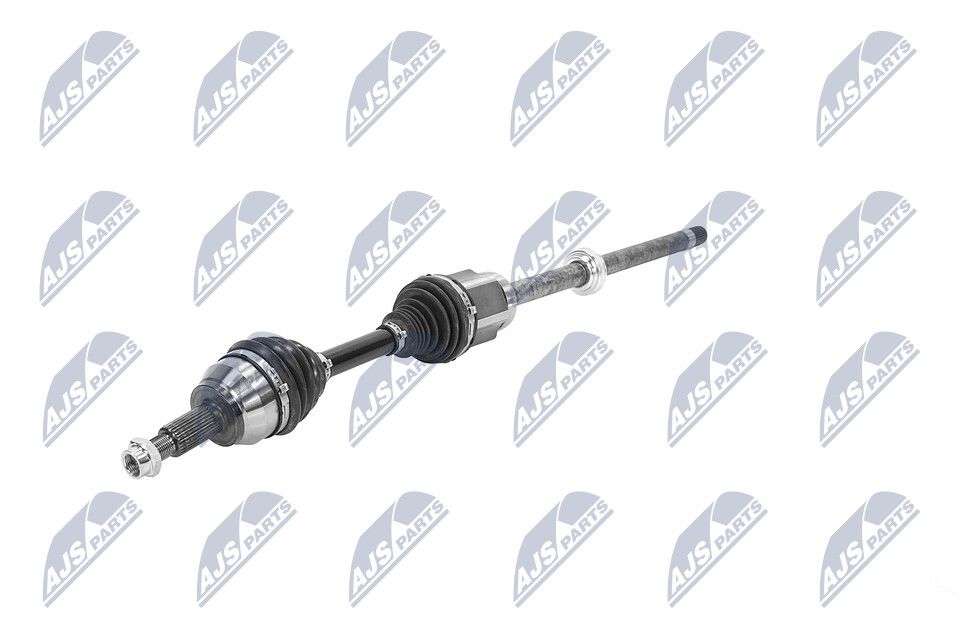 pusašis