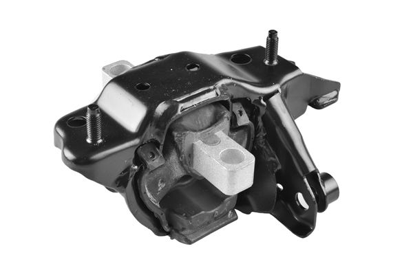 Tedgum TED99919 Lagerung, Motor