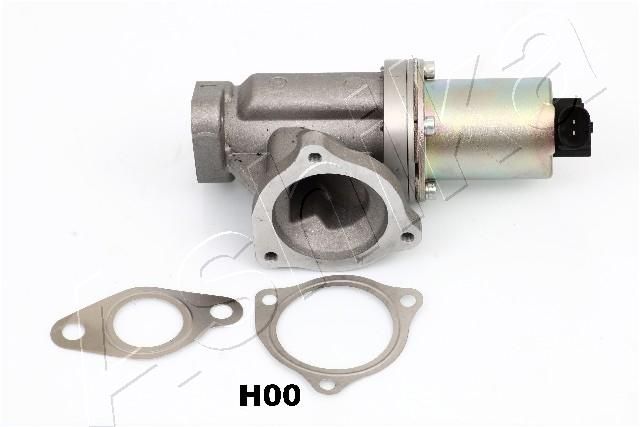 EGR Valve 150-0H-H00