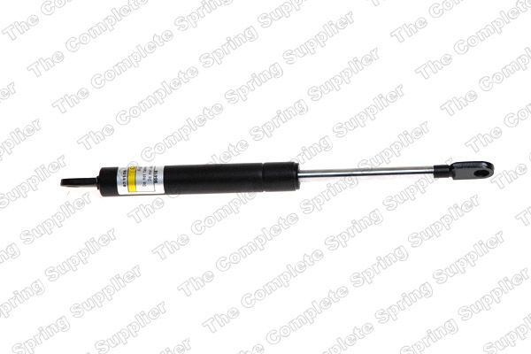 Gasfeder, Koffer-/Laderaum