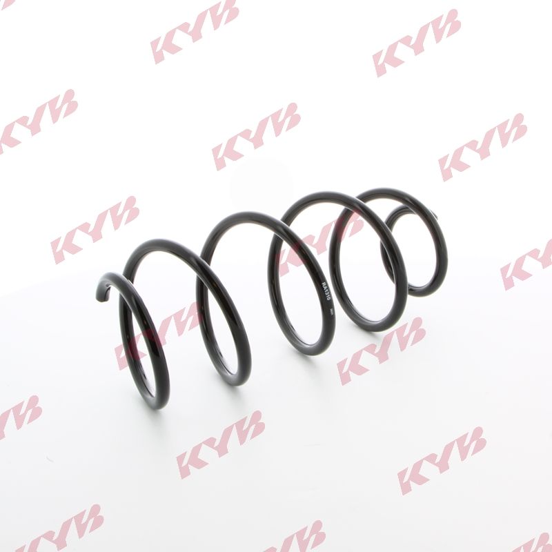 KYB_RA1310-0002.JPG