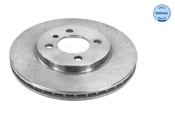 Brake Disc 315 521 3001