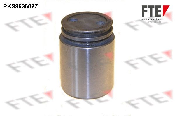 FTE 9313339 - Kolben, Bremssattel