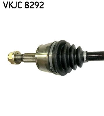 VKJC 8292_2.JPG