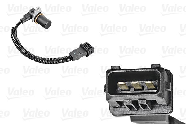 SENSOR_CAMSHAFT_253853_01.JPG