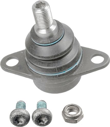 Šarnyras / girgždukas