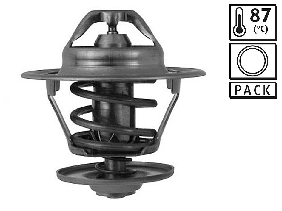 Thermostat, Kühlmittel